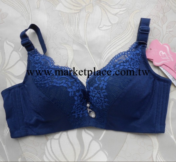 秋冬新款 胸罩批發 側收聚攏 調整定型 性感蕾絲奢華女性內衣工廠,批發,進口,代購
