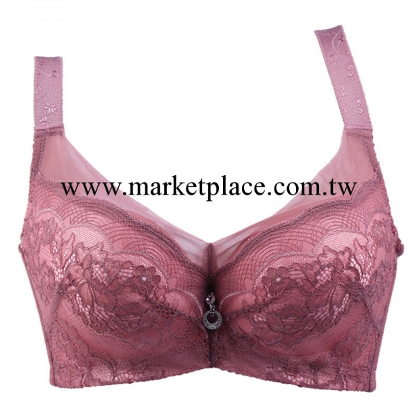 珠密琪 蕾絲花邊刺繡贈送掛鉤大罩杯C杯胸罩 2217 胸罩工廠,批發,進口,代購