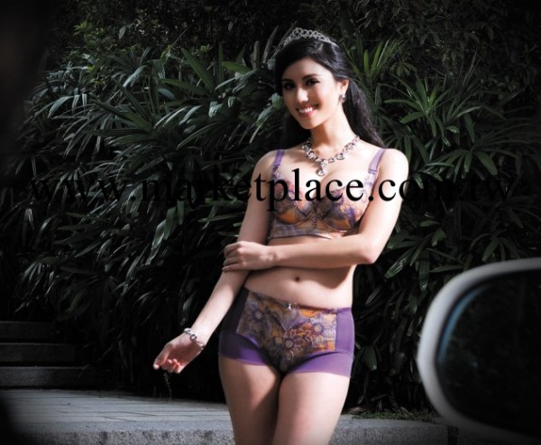 黛芙娜調整型胸罩 聚攏上托MM最愛真乳線內衣11014工廠,批發,進口,代購