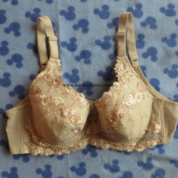 外貿原單 2013新款 內衣胸罩批發 蕾絲聚攏胸罩 高雅性感 舒適工廠,批發,進口,代購