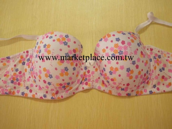 廠傢直銷 青春 活潑型 外貿少女胸罩　承接訂單工廠,批發,進口,代購