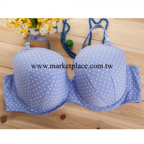 批發外貿大碼胸罩 圓點印花薄杯 特大尺碼超大杯內衣工廠,批發,進口,代購