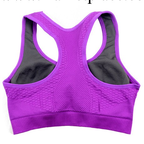 品牌原單 竹纖維無鋼圈雙層運動胸罩 帶胸墊無縫 瑜伽 跑步 體操工廠,批發,進口,代購