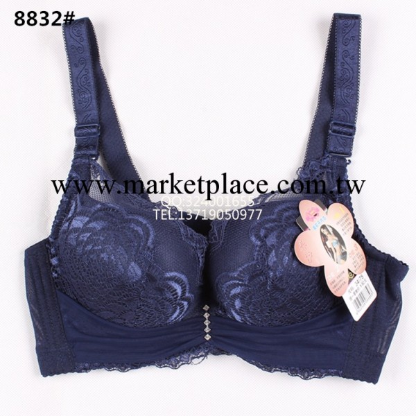 廠傢批發高檔蕾絲花邊胸罩批發 性感聚攏加厚杯內衣批發8832工廠,批發,進口,代購