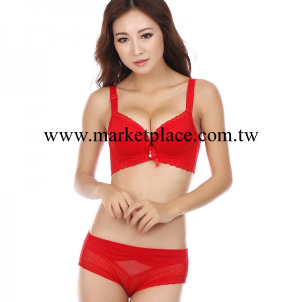 黛安芬 秋冬新款加厚小胸聚攏調整型胸罩套裝 一件代發T8403工廠,批發,進口,代購