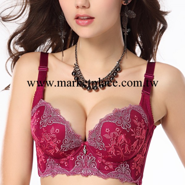 美容院內衣中國刺繡性感聚攏按摩調整型女式胸罩批發代發加盟店工廠,批發,進口,代購