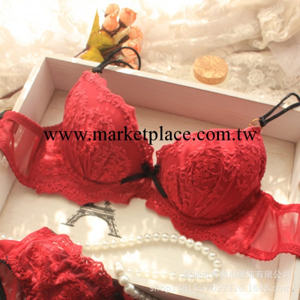 1916 新款歐美 三排扣刺繡雕花 藍紅新色 少女胸罩內衣套裝批發工廠,批發,進口,代購