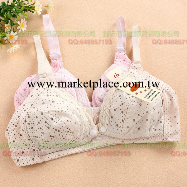 秋冬新款加棉哺乳胸罩前開口哺乳胸罩孕婦前開扣式純棉哺乳胸罩工廠,批發,進口,代購