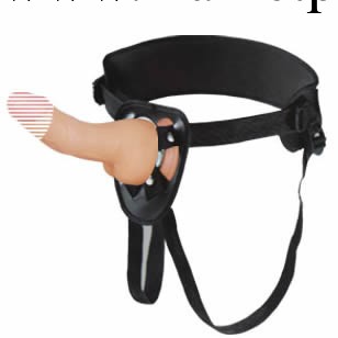 兆邦-反客情魔女同穿戴仿真震動陽具 成人用品批發 情趣用品代發工廠,批發,進口,代購