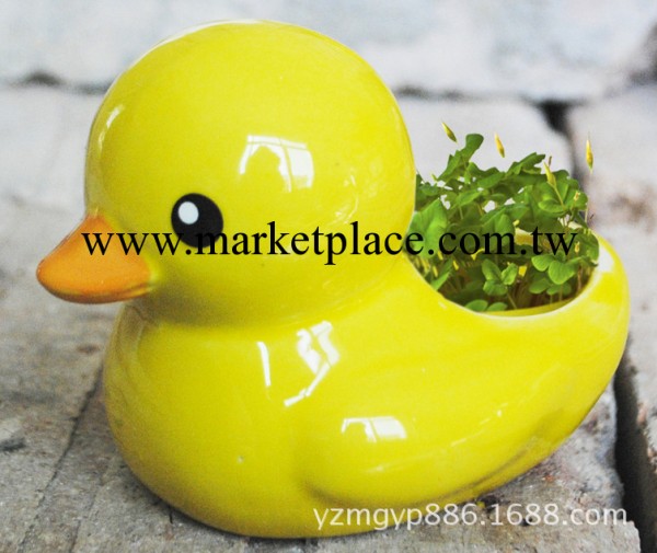 陶瓷小黃鴨花盆 園藝小盆栽工藝品10364工廠,批發,進口,代購