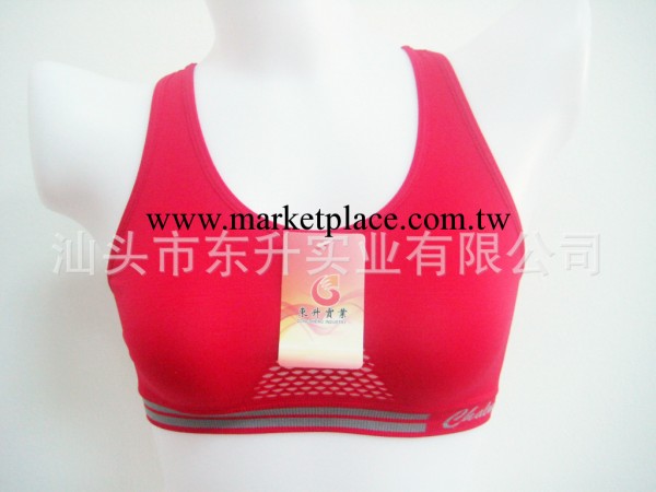供應無縫女式背心/女式運動背心/無縫女背心/女式內衣，可做FOB工廠,批發,進口,代購