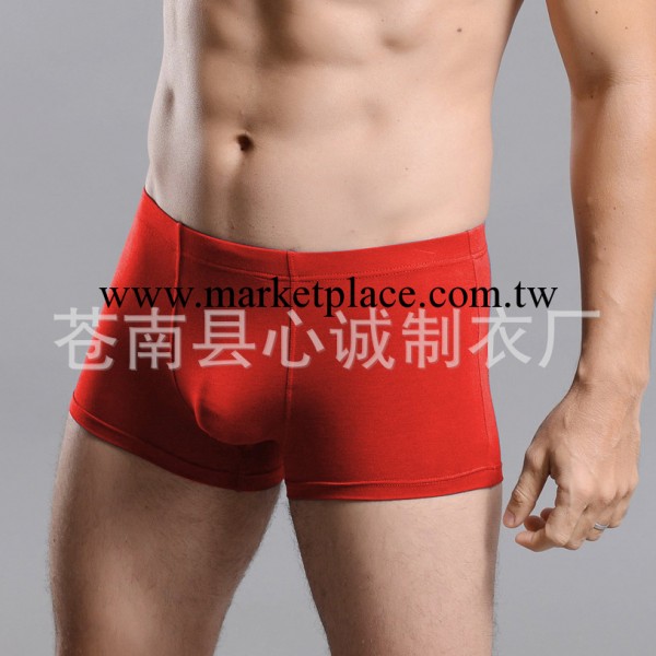 男士內褲 鴻運紅內褲 莫代爾男士平角褲 本命年紅褲  男士平腳褲工廠,批發,進口,代購