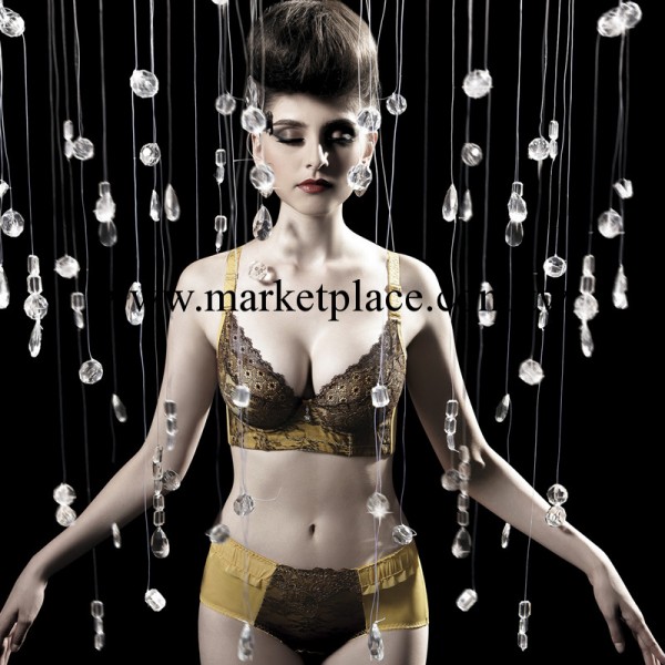 雪華廠價直銷 高端刺繡帶插片聚攏胸罩 調整型內衣套裝胸罩批發工廠,批發,進口,代購