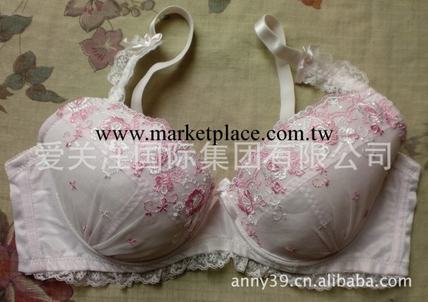 批發供應 外貿原單品牌 日單繡花大碼大罩杯胸罩,一個款,三個色工廠,批發,進口,代購