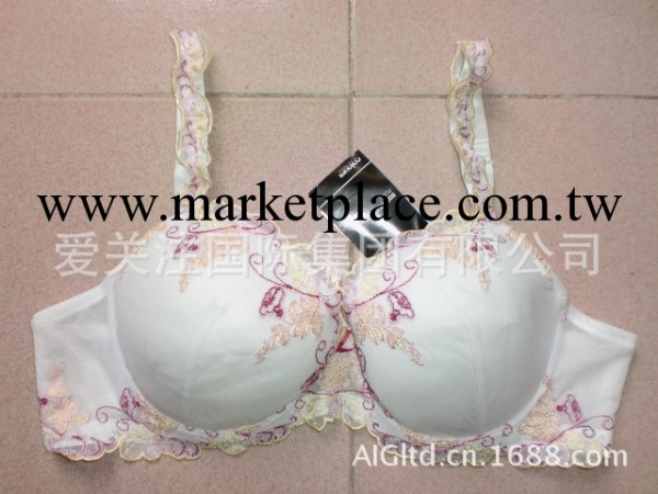 批發供應 2013 歐美Golours品牌 新款時尚 繡花刺繡  整單胸罩工廠,批發,進口,代購