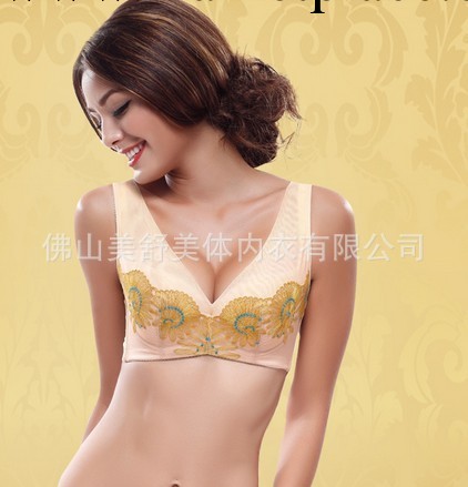 新款B526-1秋冬新款 太陽花刺繡 超聚攏 薄杯 大罩杯調整型胸罩工廠,批發,進口,代購