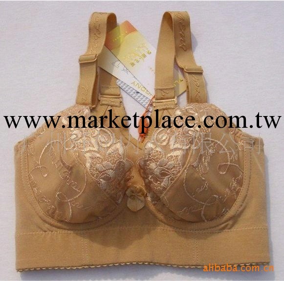 美容院專供泰麗戈妮活磁調整型美體內衣短胸罩  一件起批工廠,批發,進口,代購