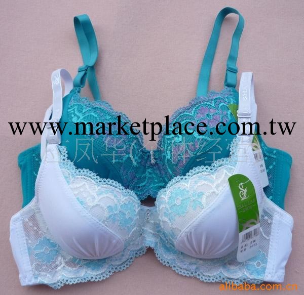 胸罩批發 蕾絲胸罩 B杯胸罩 胸托胸罩工廠,批發,進口,代購