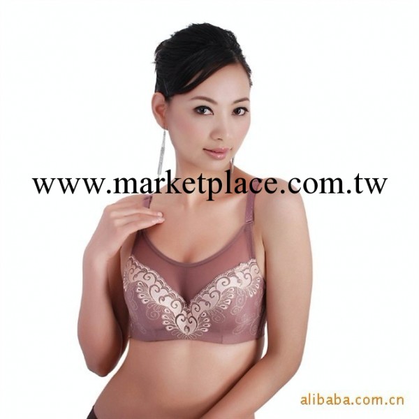 聚攏磁療保健胸罩批發 調整定型情趣胸罩批發 抗菌美體胸罩批發工廠,批發,進口,代購