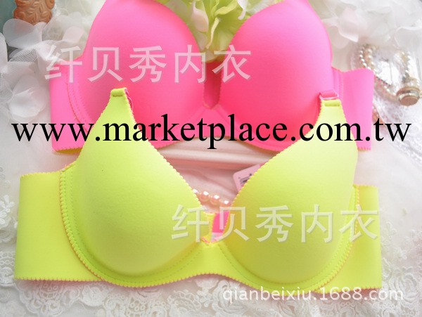 8001一片式無縫胸罩  熒光色薄棉3排扣內衣工廠,批發,進口,代購