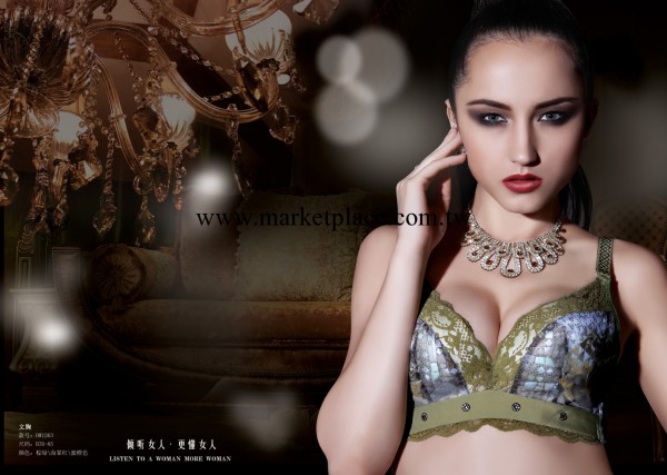 2013金曼新秋冬新款1263B杯聚攏集中型胸罩工廠,批發,進口,代購