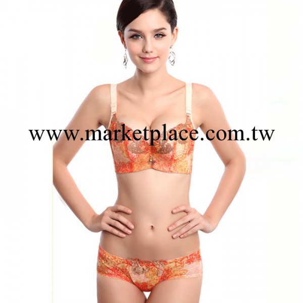 女式調整型內衣胸罩 流金粉黛性感收副乳聚攏女士胸罩長期供應工廠,批發,進口,代購