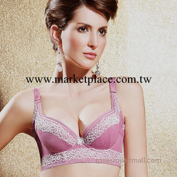 露詩媚專櫃正品 調整型胸罩定型蕾絲寬側邊收副乳BC杯胸罩8004工廠,批發,進口,代購