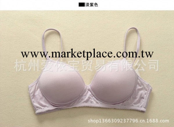 101050 出口日本 夏日首選 薄款無鋼圈真絲胸罩 8739工廠,批發,進口,代購