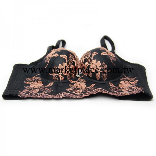 廠傢批發直銷 女士聚攏調整型胸罩 上托防副乳刺繡性感五排扣胸罩工廠,批發,進口,代購