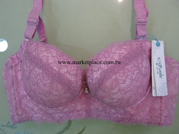 露詩媚專櫃正品 聚攏上托側收調整型胸罩2265B工廠,批發,進口,代購