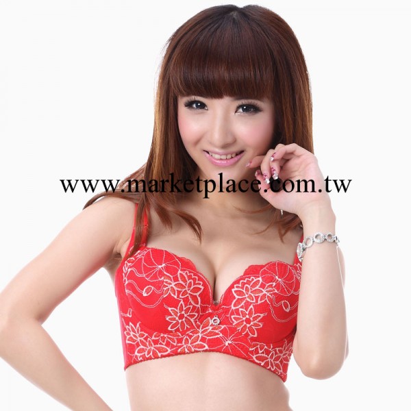 卡麗純新品性感內衣繡花蕾絲調整型聚攏收側女式胸罩廠傢特價批發工廠,批發,進口,代購