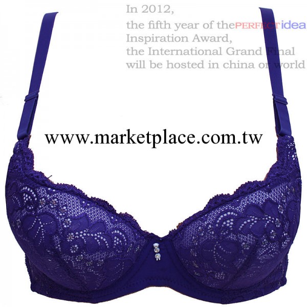 特價新款胸罩專櫃正品時尚精品內衣/定型聚攏舒適胸罩8601A工廠,批發,進口,代購