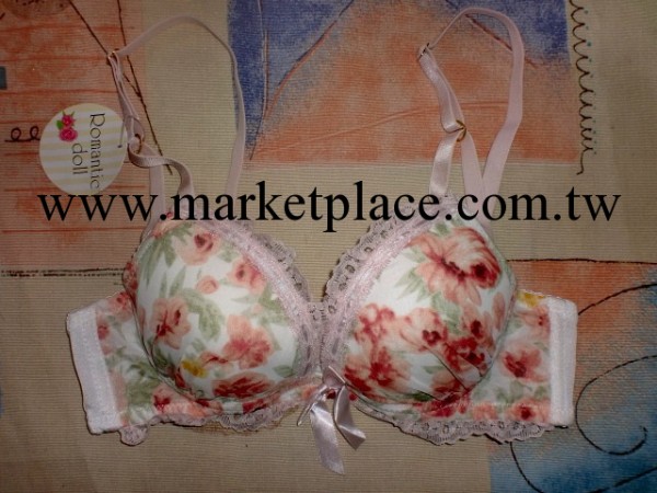 供應 2013新款 日本原單 日單胸罩 外貿品牌 性感時尚少女胸罩工廠,批發,進口,代購