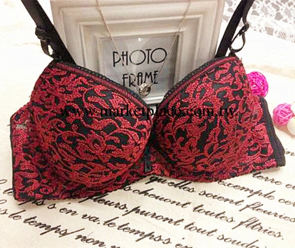 專供中高檔外貿胸罩 繡花內衣奢華高貴胸罩 性感胸罩女士內衣工廠,批發,進口,代購