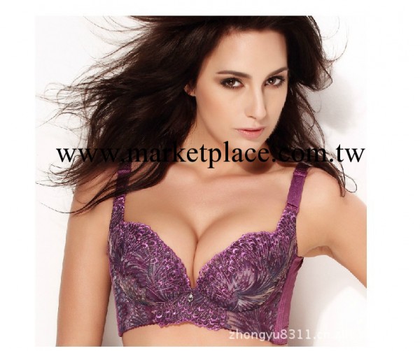 廠傢直批  貝佳人原單孔雀婦人聚攏上托豐胸調整型胸罩/內衣工廠,批發,進口,代購