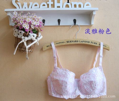 外貿內衣尾單 黛*傢全蕾絲可愛清新系胸罩工廠,批發,進口,代購