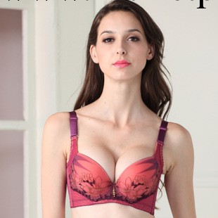 新款 時尚巴黎風聚攏側收內衣 美體調整型胸罩批發1009工廠,批發,進口,代購