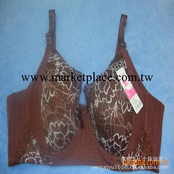 超大罩杯胸罩、時尚內 優雅動人工廠,批發,進口,代購