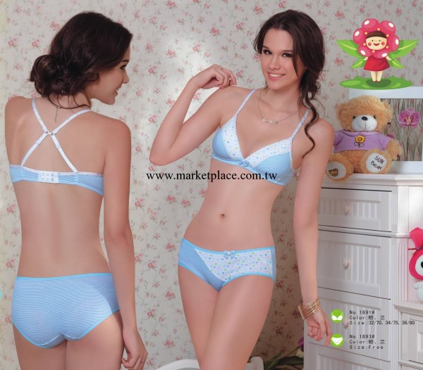 無鋼圈胸罩健康內衣學生胸罩學生內衣1891工廠,批發,進口,代購