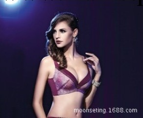 供應秋冬新款瑪迪貝爾專櫃正品性感刺繡聚攏調整型胸罩B8671工廠,批發,進口,代購