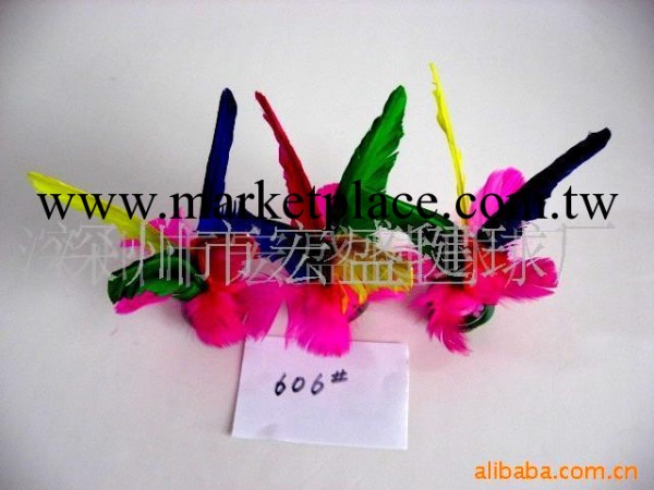 供應毽子，大花毽,606毽球(圖)工廠,批發,進口,代購