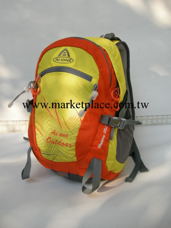 熱銷推薦 AIONE（艾王）休閒時尚前衛兒童高檔戶外背囊書包工廠,批發,進口,代購