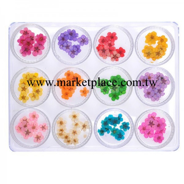 美甲產品 12色幹花 立體幹花 美甲飾品  12色小幹花 五瓣花工廠,批發,進口,代購