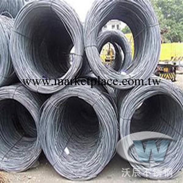 專業供應316L不銹鋼線材  高質量不銹鋼線材批發工廠,批發,進口,代購