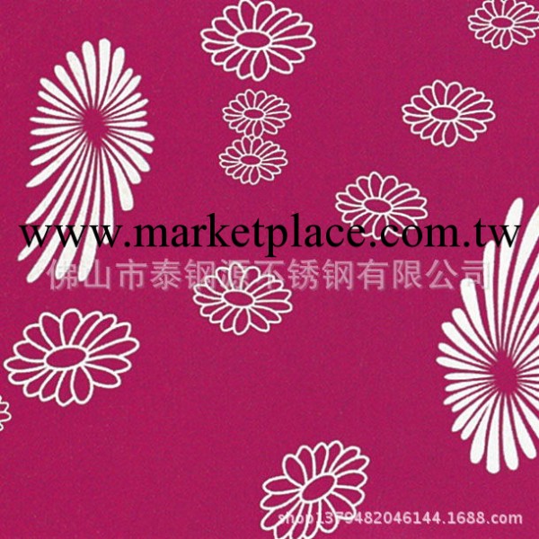 泰鋼源彩色不銹鋼衛浴廚櫃裝飾板系列-T-CH012工廠,批發,進口,代購