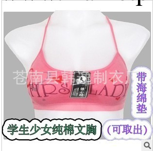 少女內衣胸罩批發發育期全純棉學生背心胸罩 無鋼圈帶棉墊可拆卸工廠,批發,進口,代購