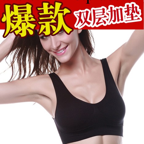 網絡爆款 高品質外貿無縫女雙層運動胸罩 大碼無鋼圈背心運功內衣工廠,批發,進口,代購