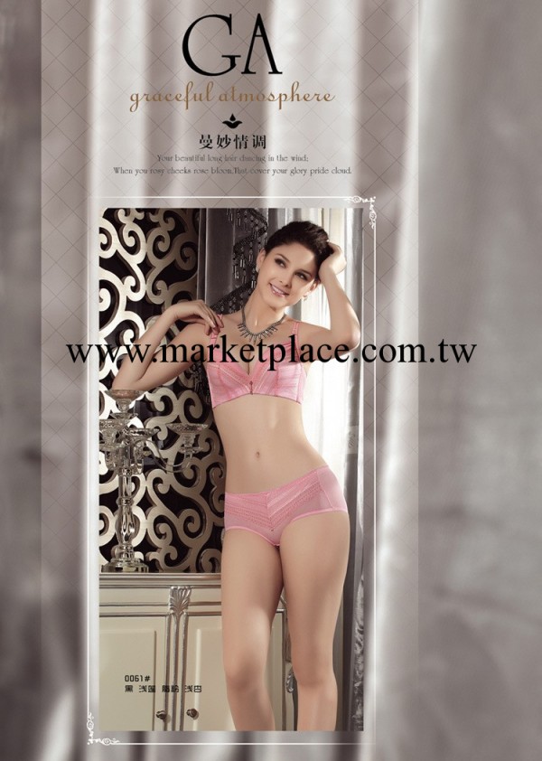 淘寶熱賣特價時尚雅爾美人刺繡花面集中聚攏中厚調整型三排扣胸罩工廠,批發,進口,代購