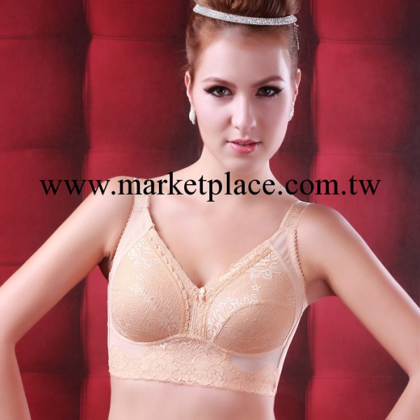 正品無鋼圈聚攏調整型胸罩8032工廠,批發,進口,代購