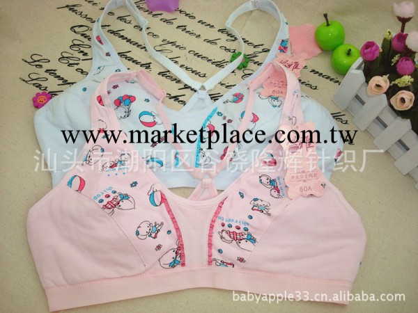 叢雅少女學生內衣少女胸罩學生發育期抹胸少女胸罩全棉廠傢直銷工廠,批發,進口,代購